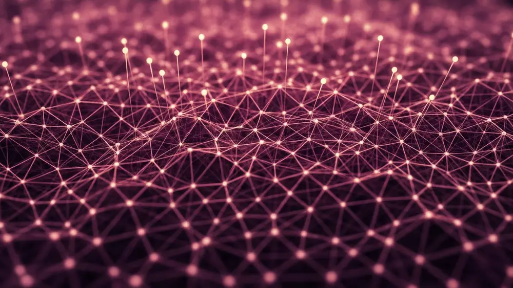 Ilustración de portada de Tu Posicionamiento Web para «Posicionamiento web barato»
