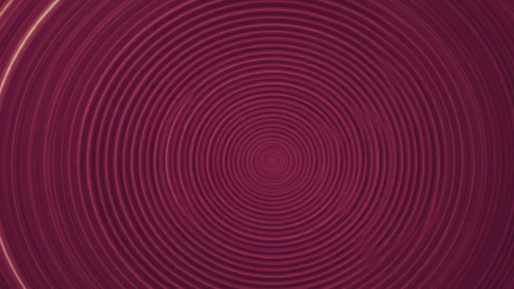Ilustración de portada de Tu Posicionamiento Web para «Cómo potenciar tu visibilidad, diferenciarte y atraer clientes a tu despacho con la publicidad para abogados»